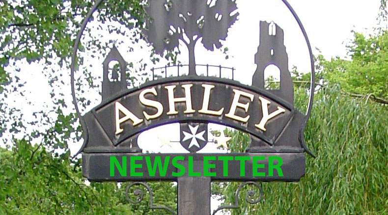 About Ashley Newsletter